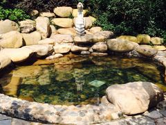 iphone_upload_pic-天目湖涵田度假村
