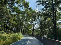 -观澜湖生态运动公社