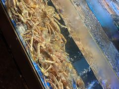 水产区-徐记海鲜(观沙岭|滨江新城店)