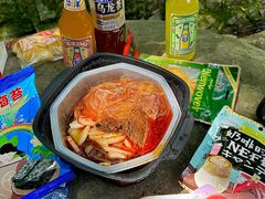 -梧桐山风景名胜区