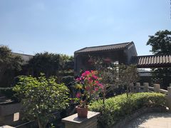 -顺德了能馆(虎门店)