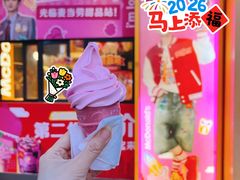 -麦当劳(王顶堤店)