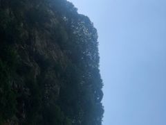 -少华山国家森林公园