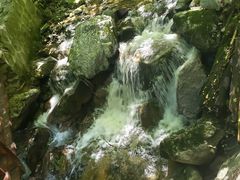 -青峰峡国家森林公园