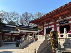 -灵谷景区