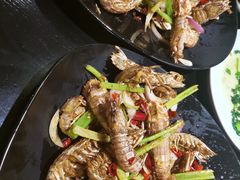 -沪小胖小龙虾(淮海中路旗舰店)