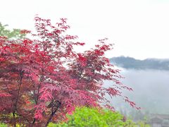 -恩施大峡谷