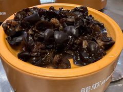 -龍歌自助小火锅(李沧丽达店)