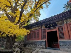 -晋祠公园