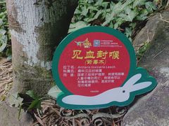 -呀诺达热带雨林