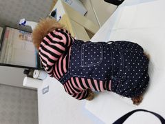 -美联众合动物医院(·中兽医·疑难杂症·严家桥分院)