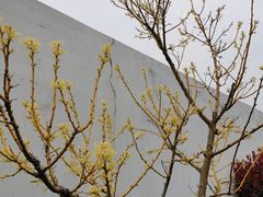 -前小桔亲子创意农场·草莓采摘·露营烧烤