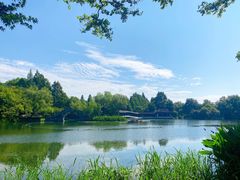 -杭州花家山庄