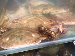 -宾朋海鲜特色美食餐厅·纯手工鲅鱼水饺(兴海路店)