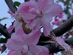 -外高桥保税区南(地铁站)