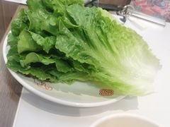 -董记老清泉·鲜切涮羊肉(窑岭店)