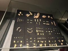 -金沙遗址博物馆
