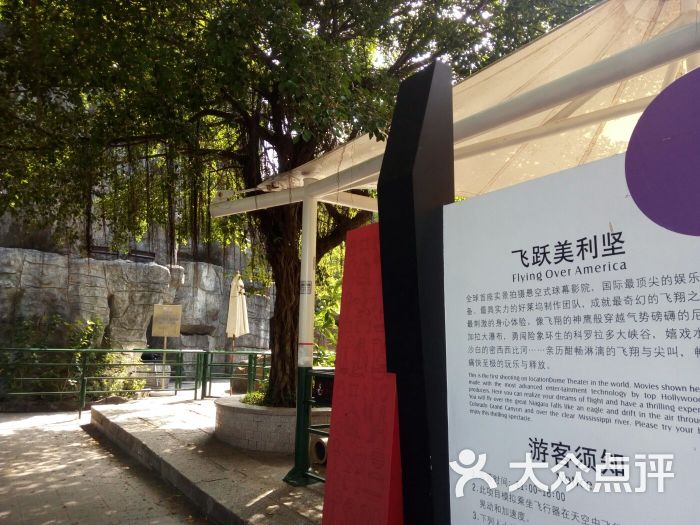 飞跃美利坚图片 - 第7张