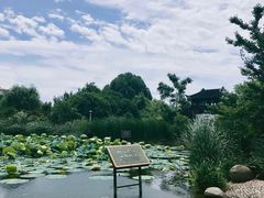 -花溪公园