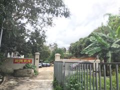 -梧桐山风景名胜区