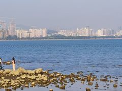-深圳湾公园(南山区)