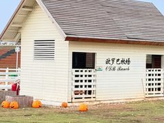 -华谊兄弟（长沙）电影小镇