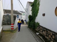 -枸杞岛