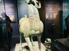 -广西壮族自治区博物馆