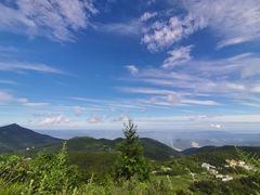 -武陵山森林公园