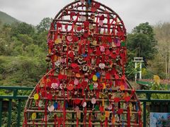 -西双版纳原始森林公园