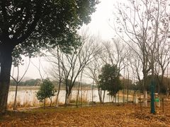 景点-梁鸿国家湿地公园