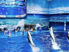 -多彩贵州城极地海洋世界