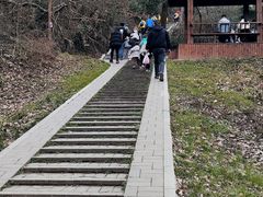 -青龙山国家森林公园
