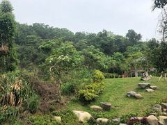 -火炉山森林公园