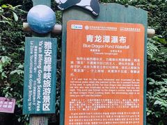 -碧峰峡风景区