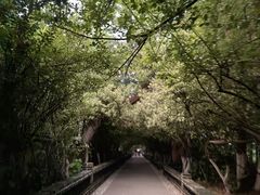 -烟台山景区