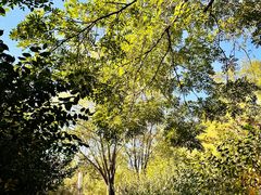 -元大都城垣遗址公园