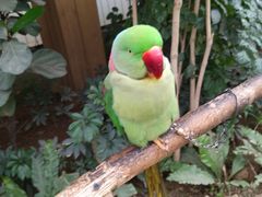 -南宫五洲植物乐园