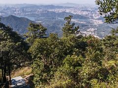 -梧桐山风景名胜区