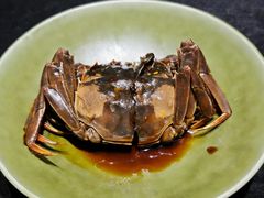 -新光酒家·河豚·海鲜·蟹料理(浦东店)
