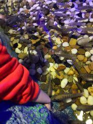 -酷嗒动物文化乐园(cutezoo西溪乐天城店)