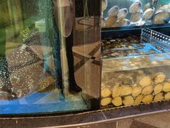 水产区-金翠皇宫粤菜·点心·海鲜(科技园店)