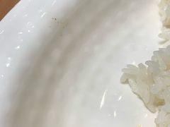-阳阳中国饭(北京荟聚店)