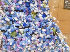 -中国美术学院-美术馆