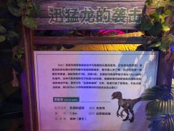 点击看大图 -恐龙探索乐园(磁器口店)