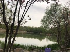 -北京麋鹿生态实验中心