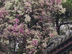 -深圳国际园林花卉博览园