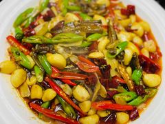 -小眼睛餐饮&杨杨夜宵