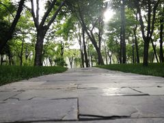 -西安曲江寒窑遗址公园