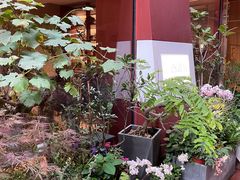 -二酉书店TOYOU BOOKS